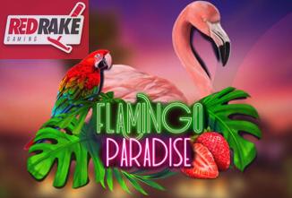 Flamingo Paradise